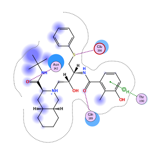 ligand interaction