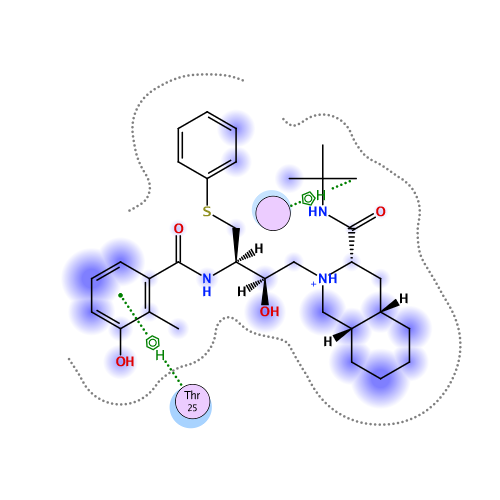 ligand interaction