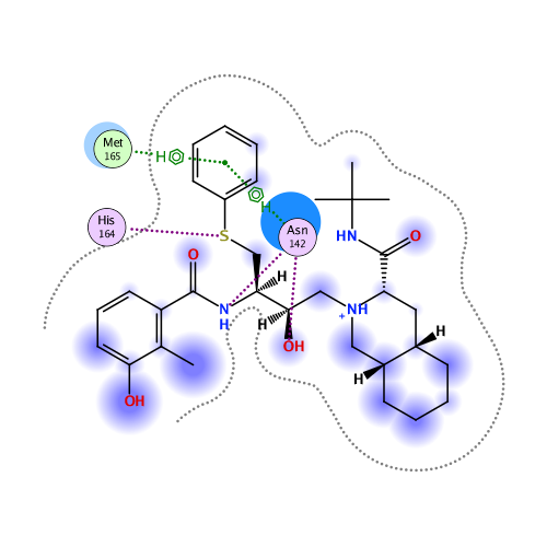 ligand interaction