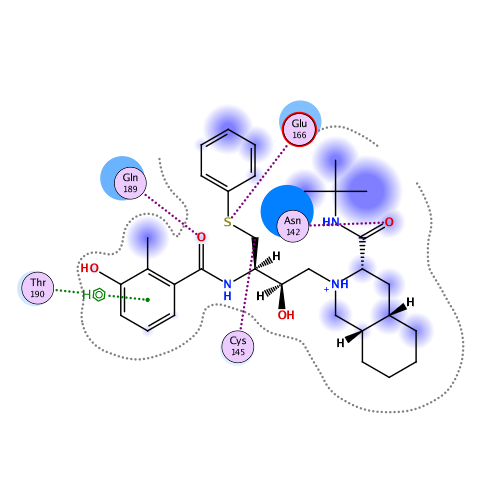 ligand interaction