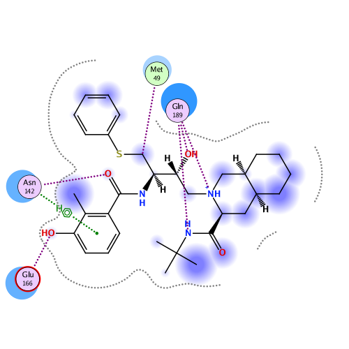 ligand interaction