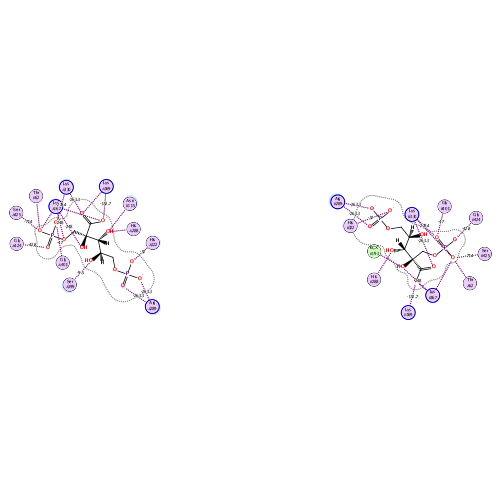 ligand interaction