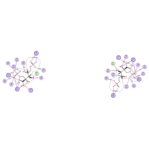 ligand interaction