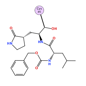 ligand structure