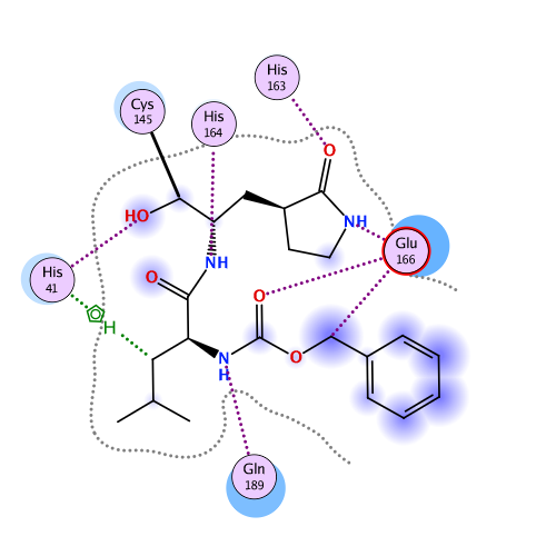 ligand interaction