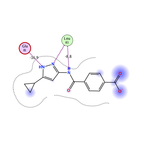 ligand interaction