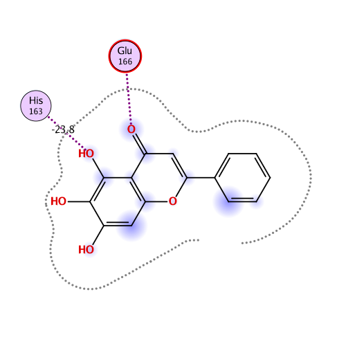 ligand interaction