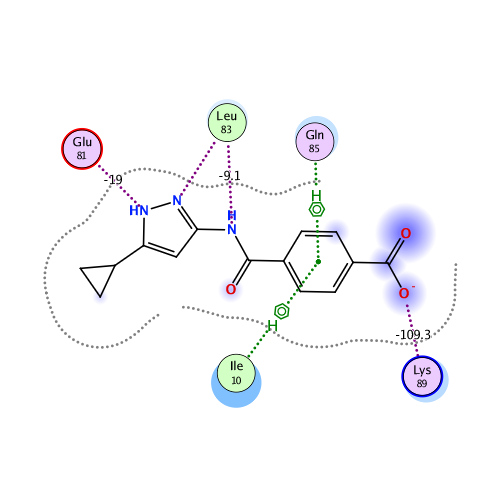 ligand interaction