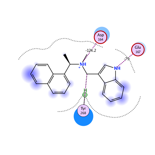 ligand interaction