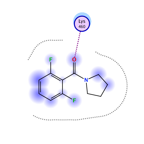 ligand interaction
