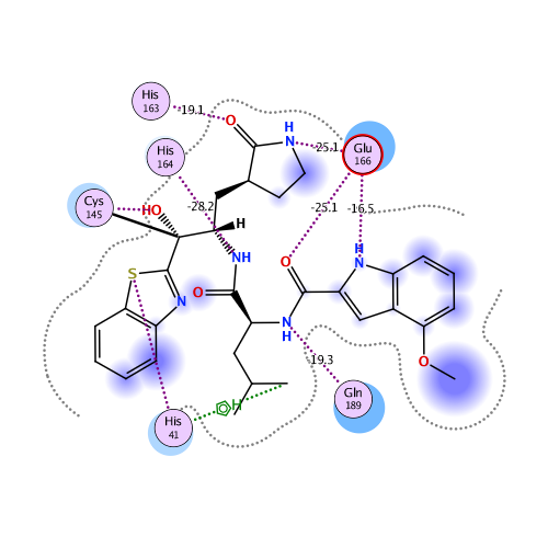 ligand interaction