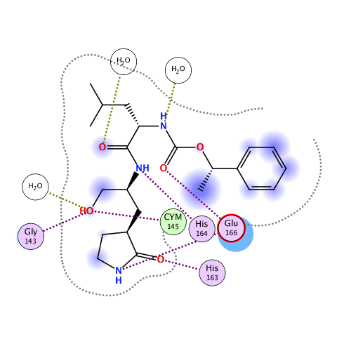 ligand interaction