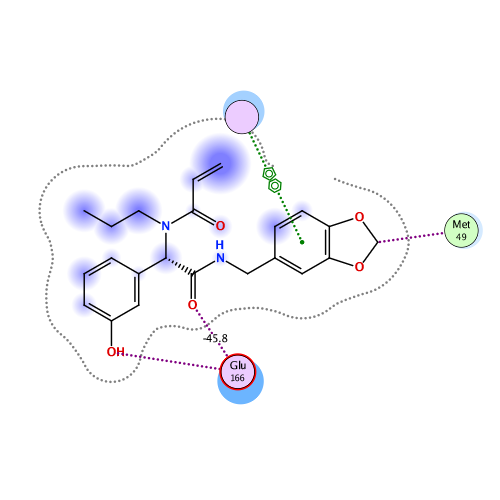 ligand interaction