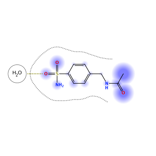 ligand interaction
