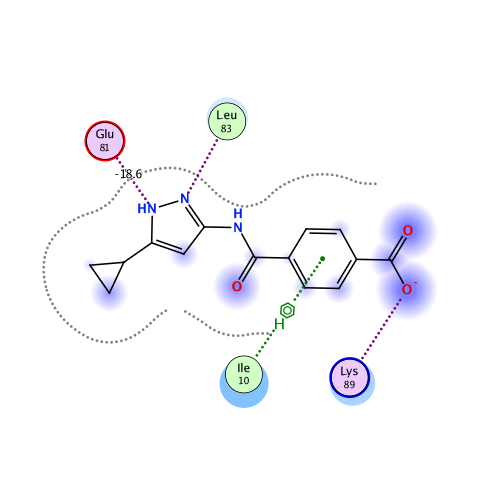ligand interaction