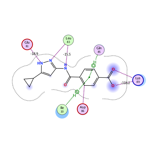 ligand interaction