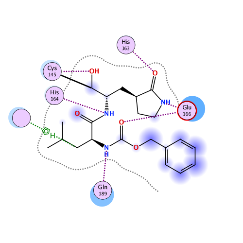 ligand interaction