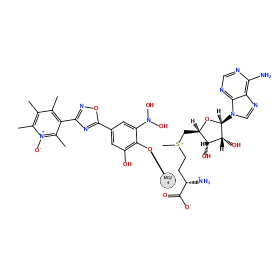 ligand structure