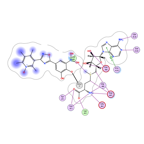ligand interaction
