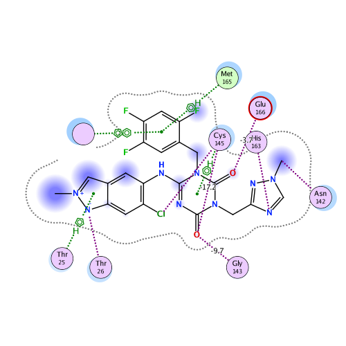 ligand interaction