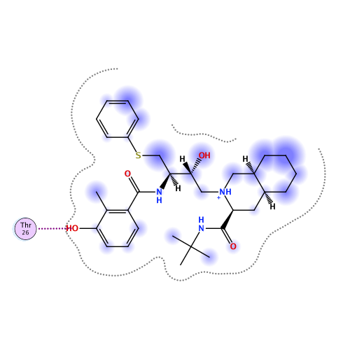 ligand interaction
