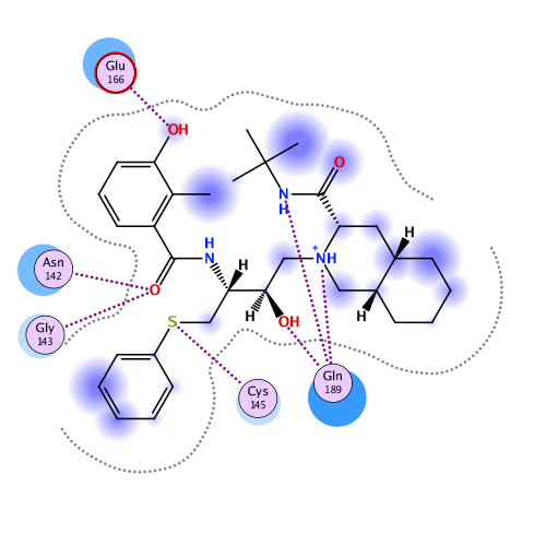 ligand interaction