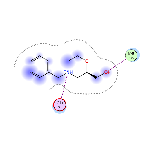 ligand interaction