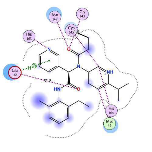 ligand interaction