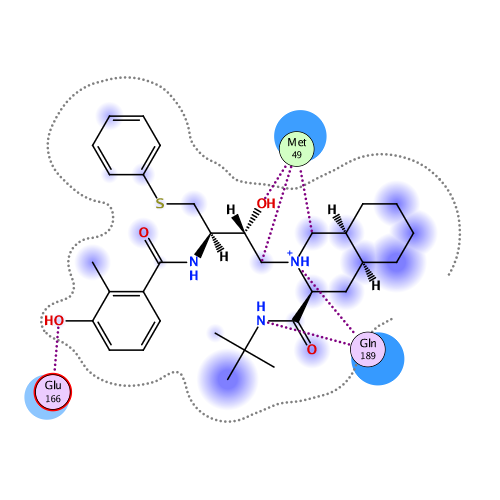 ligand interaction