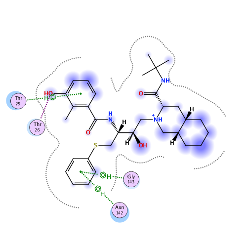 ligand interaction