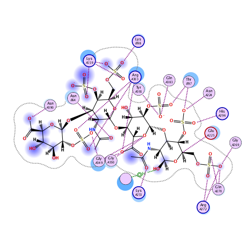 ligand interaction