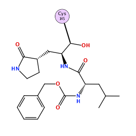 ligand structure
