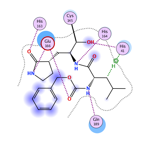 ligand interaction