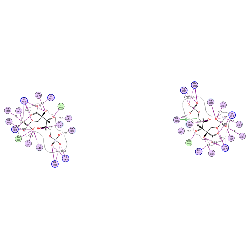 ligand interaction