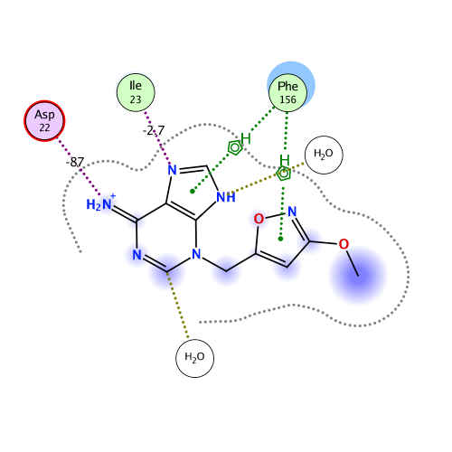 ligand interaction