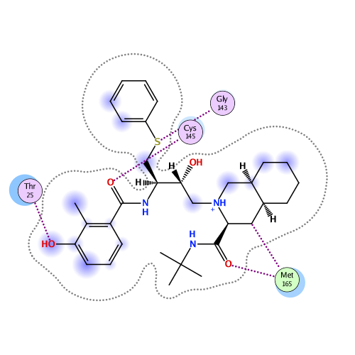 ligand interaction