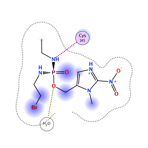 ligand interaction