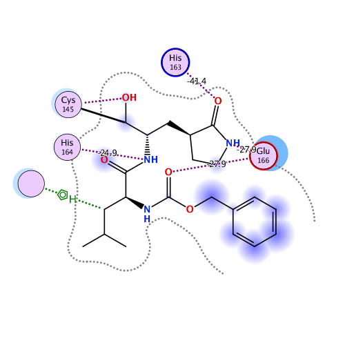 ligand interaction