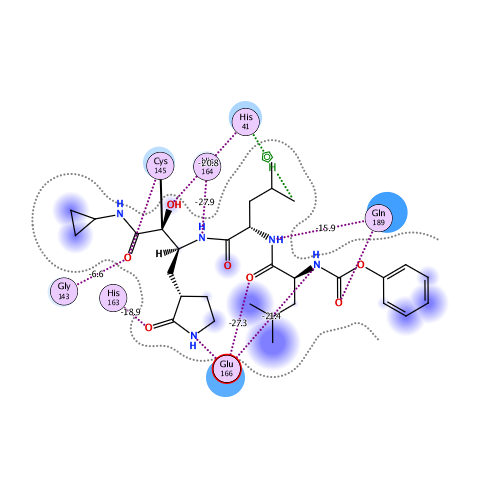 ligand interaction