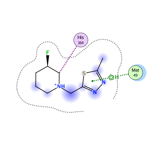 ligand interaction