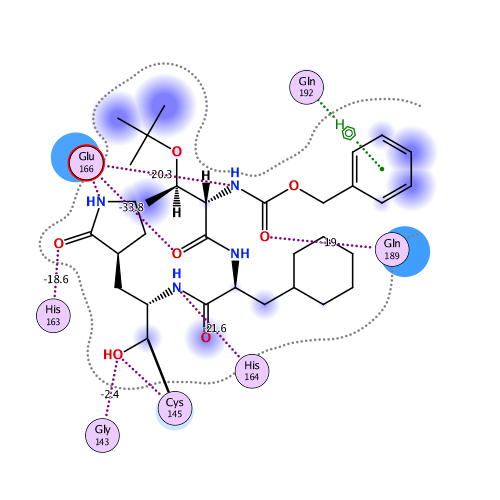 ligand interaction
