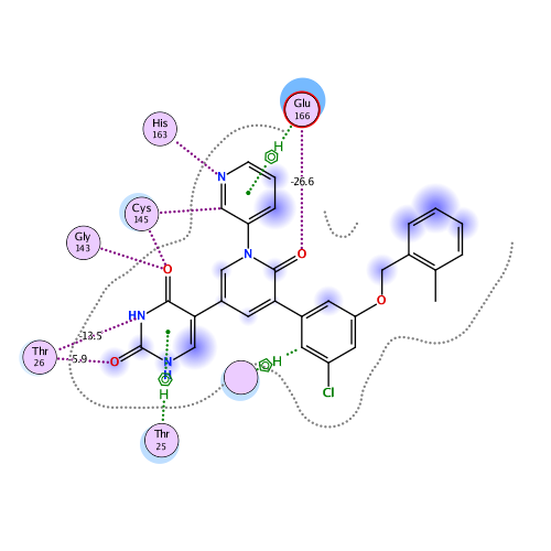 ligand interaction
