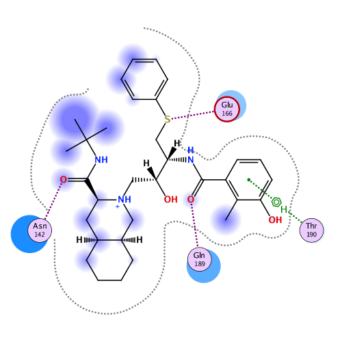 ligand interaction