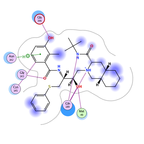 ligand interaction