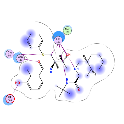ligand interaction