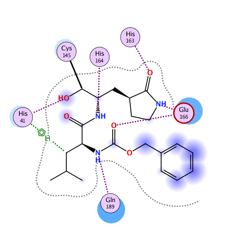ligand interaction