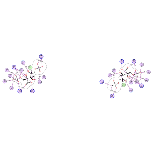 ligand interaction