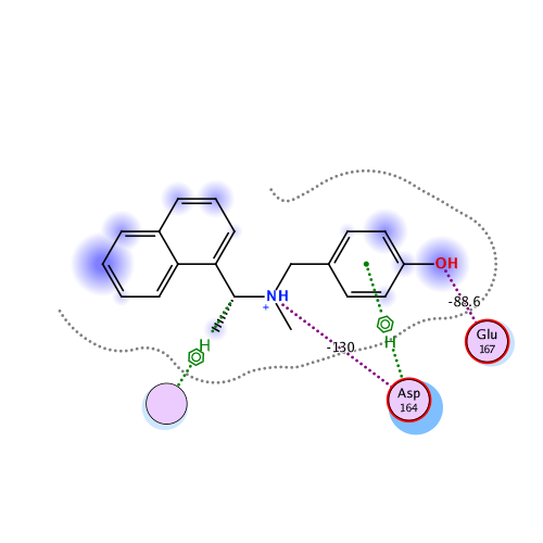 ligand interaction