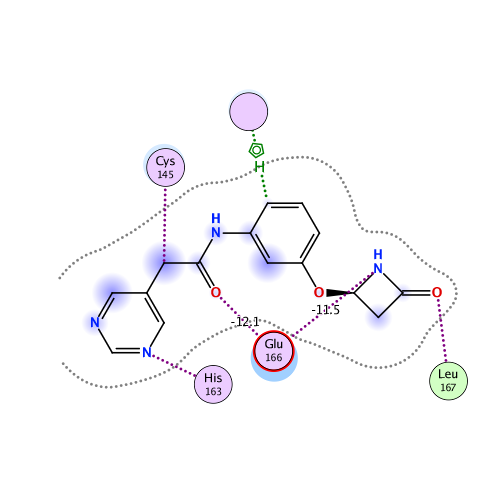 ligand interaction