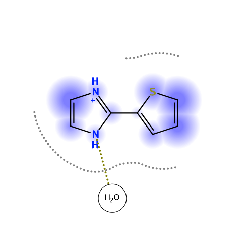 ligand interaction